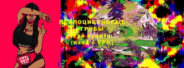 мдпв Нягань