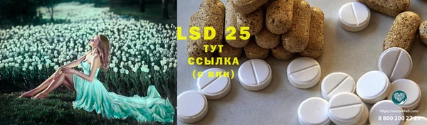 крисы Новодвинск
