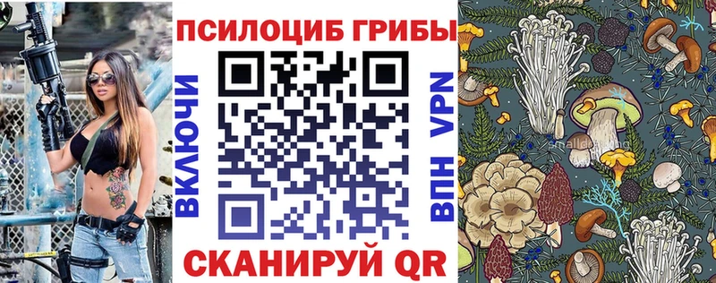 Псилоцибиновые грибы GOLDEN TEACHER  Собинка 